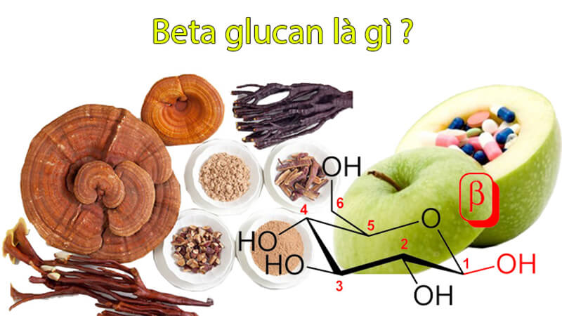 Beta Glucan là gì?