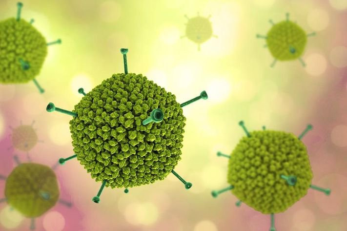 Virus Adeno từng được nghi ngờ là nguyên nhân gây ra bệnh viêm gan bí ẩn.